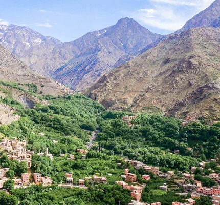 Visite privée d'une journée dans la vallée de l'Ourika et les montagnes du Haut Atlas au départ de Marrakech