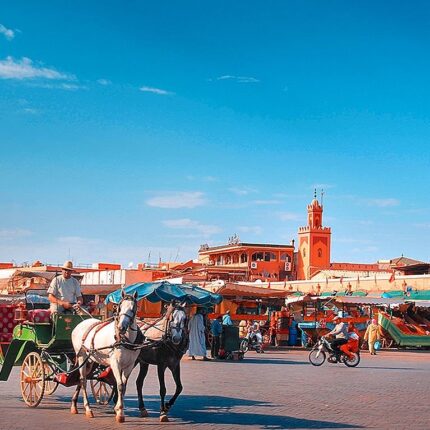 Activité Balade en calèche dans toute la ville depuis Marrakech