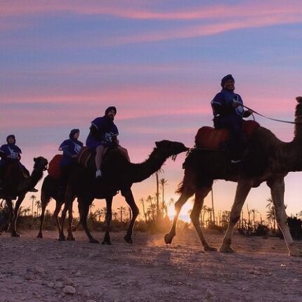 Activité Coucher de Soleil & Balade en Dromadaire à la Palmeraie de Marrakech